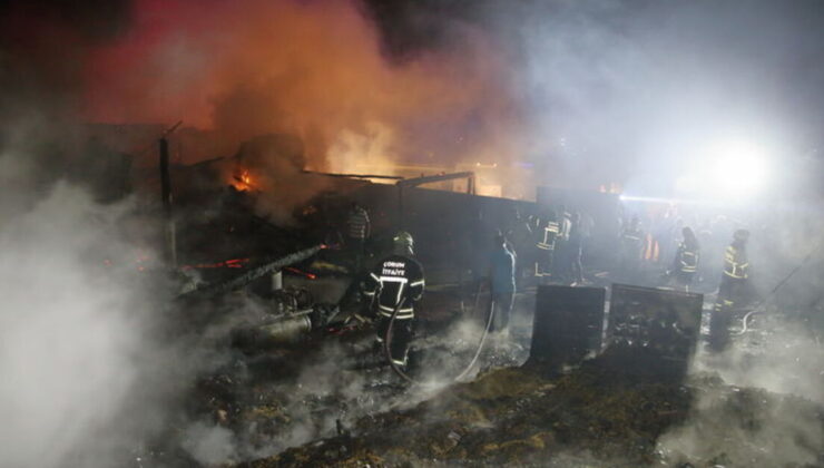 Çorum’da mandırada yangın çıktı