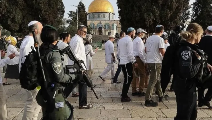 İsrailli yerleşimciler zeytin toplayan Filistinlilere sopalarla saldırdı