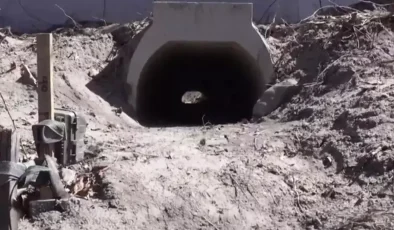 Kurbağaların rahatça çiftleşmesi için yapılan aşk tünelinde inşaat sona erdi