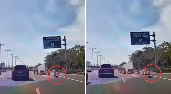 Yüreklerin ağızlara geldiği an! Küçük çocuk emekleyerek otobana çıktı